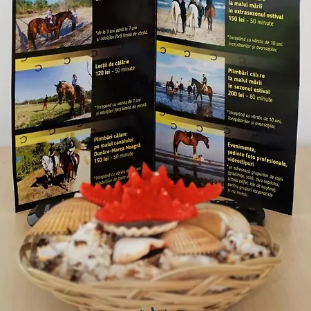 Astoria By Sunny Mamaia Apartment Năvodari